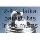 Aizdedzes svece BOSCH 0 242 135 515