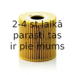 Eļļas filtrs MANN-FILTER HU 819 x