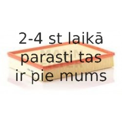 Воздушный фильтр MANN-FILTER C 4312/1