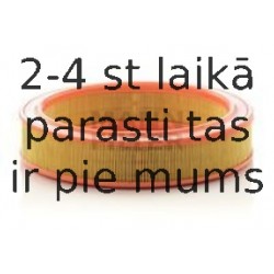 Воздушный фильтр MANN-FILTER C 2873/1