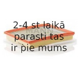 Gaisa filtrs MANN-FILTER C 30 130/2