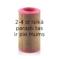 Воздушный фильтр MANN-FILTER C 17 237