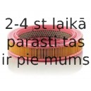 Воздушный фильтр MANN-FILTER C 2231/1