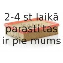 Воздушный фильтр MANN-FILTER C 24 128