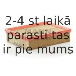 Воздушный фильтр MANN-FILTER C 24 128