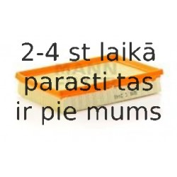 Воздушный фильтр MANN-FILTER C 2448