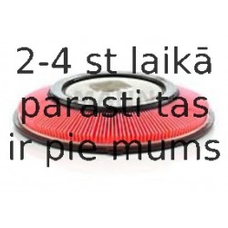 Воздушный фильтр MANN-FILTER C 2821