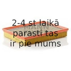 Воздушный фильтр MANN-FILTER C 33 189/1