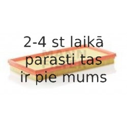 Воздушный фильтр MANN-FILTER C 3594