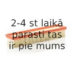 Воздушный фильтр MANN-FILTER C 3875