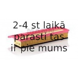 Воздушный фильтр MANN-FILTER C 3877/1