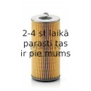 Eļļas filtrs MANN-FILTER H 12 110/2 x