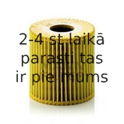 Eļļas filtrs MANN-FILTER HU 819/1 x