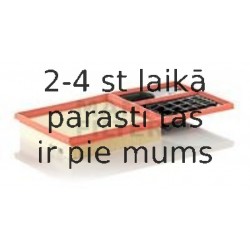 Воздушный фильтр MANN-FILTER C 3880