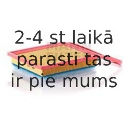 Gaisa filtrs MANN-FILTER C 3585