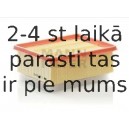 Воздушный фильтр MANN-FILTER C 21 104/2