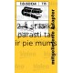Stikla tīrītāja slotiņa SWF 132702