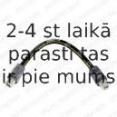 Тормозной шланг DELPHI LH0207