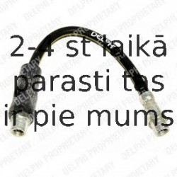 Тормозной шланг DELPHI LH0210