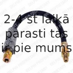 Тормозной шланг DELPHI LH0220