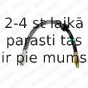 Тормозной шланг DELPHI LH0228