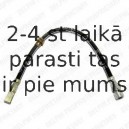 Тормозной шланг DELPHI LH0270