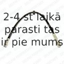 Тормозной шланг DELPHI LH0374