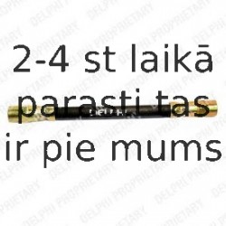 Тормозной шланг DELPHI LH0391