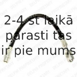 Тормозной шланг DELPHI LH0412