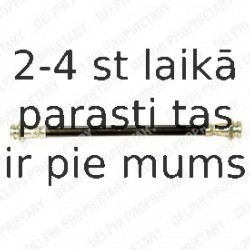 Тормозной шланг DELPHI LH6020