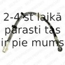 Тормозной шланг DELPHI LH6060