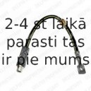 Тормозной шланг DELPHI LH6072