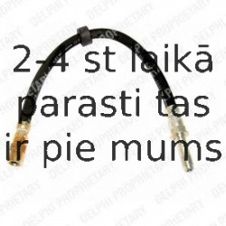 Тормозной шланг DELPHI LH6102