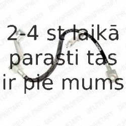 Тормозной шланг DELPHI LH6120