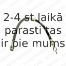 Тормозной шланг DELPHI LH6200