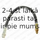 Тормозной шланг DELPHI LH6245