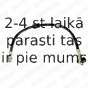 Тормозной шланг DELPHI LH6250