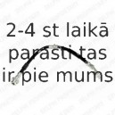 Тормозной шланг DELPHI LH6329