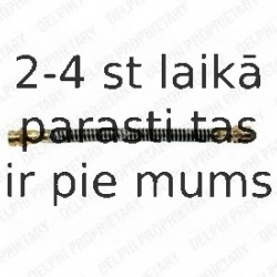 Тормозной шланг DELPHI LH6385