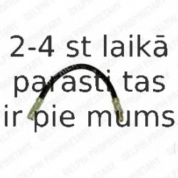 Тормозной шланг DELPHI LH6467