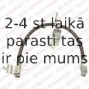 Тормозной шланг DELPHI LH6490