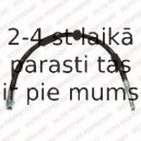 Тормозной шланг DELPHI LH6613