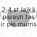 Комплект тормозных колодок, дисковый тормоз DELPHI LP1003