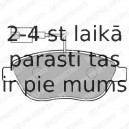 Комплект тормозных колодок, дисковый тормоз DELPHI LP1721