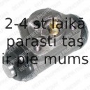 Riteņa bremžu cilindrs DELPHI LW36029