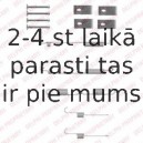 Piederumu komplekts, Bremžu loki DELPHI LY1332