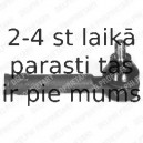 Stūres šķērsstiepņa uzgalis DELPHI TA1219