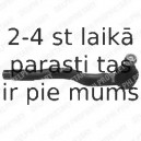 Stūres šķērsstiepņa uzgalis DELPHI TA1456