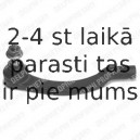 Stūres šķērsstiepņa uzgalis DELPHI TA1495