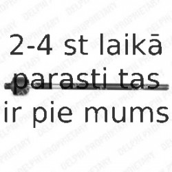 Aksiālais šarnīrs, Stūres šķērsstiepnis DELPHI TA1609